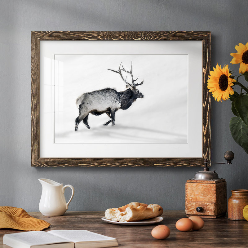 Lone Bull encadré sur papier, Noyer, H 14 po x l 20 po x P 1,5 po