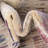 Amiliya Abstract Indoor Rug-668964511