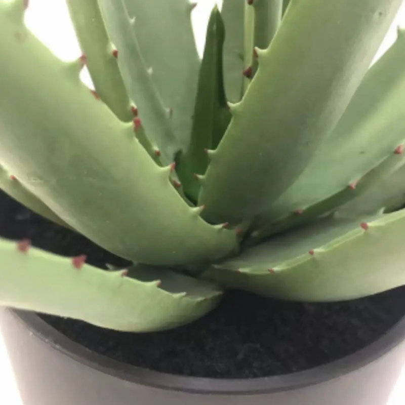 13" Artificial Aloe Plants