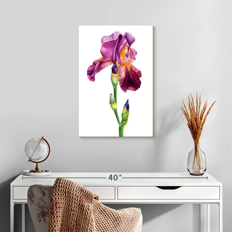 Harnek, belle fleur d'iris, H 24 po x l 16 po