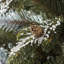 Artificial Spruce Christmas Tree-71589457