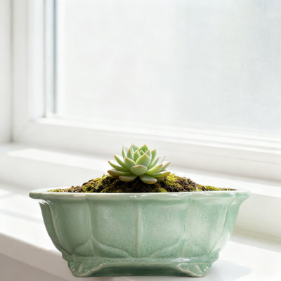 Large Ceramic Bonsai Pot With Drainage Hole - 13.2 Inch Succulent Planter For Indoor Outdoor Plants, Home And Garden Decor