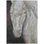 Tapis ivoire Xhevrie intérieur / extérieur lavable à la machine-112029000