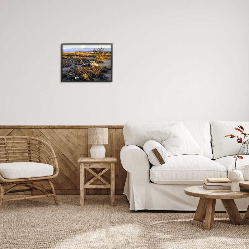 Art de la giclée par Danita Delimont, Giclée encadrée noir minuit, H 16 po x l 20 po x P 1,5 po