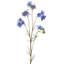 Vaporisateur 38 "Wild Summer Cosmos -281484483