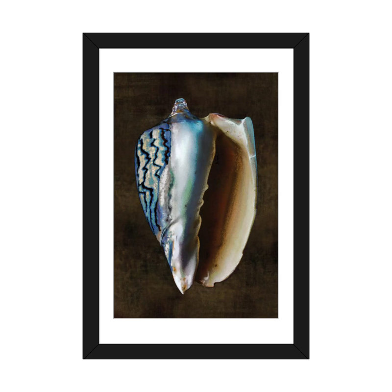 «Ocean Treasure I», impression sur toile, H 24 po x l 16 po x P 1 po, Papier d'art encadré noir, Blanc