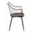 Fianna 17.75'' H Beech Arm Chair-856650442