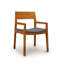 Iso Microsuede Arm Chair-51810581-61624264