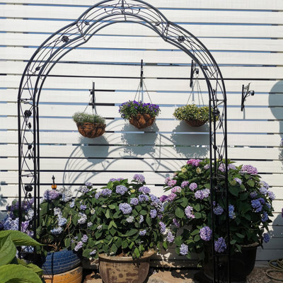 Arche de jardin treillis pour plantes - thermolaquée, 15,67 po Large, en métal noir,