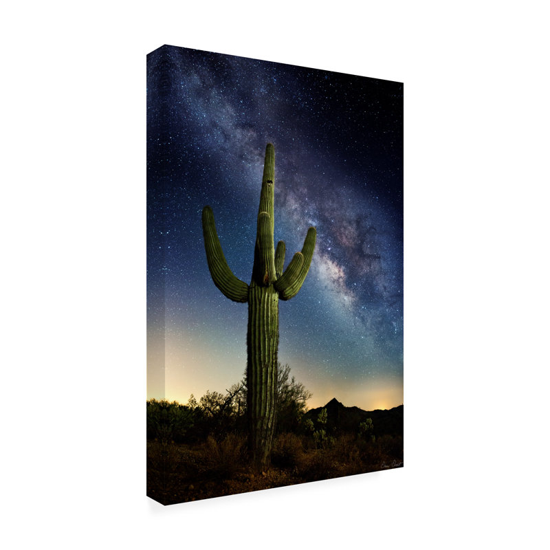 «Desert Lights I» par David Drost - reproduction sur toile tendue, H 19 po x l 12 po