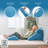 Memory Foam Medium Pillow