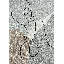 Natividad Area Rug-1772599504