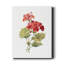 «Scarlet Geranium», reproduction d'impression sur toile tendue-2129226343