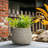 13 in. Medium Stone Gray(Upgraded Interior) Concrete Round Planter / Pot with Draiange Holes for Indoor & Outdoor-737979623-736770483