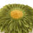 Appliqued Floral Accent Pillow Cover Sunflower Decorative Throw Pillow Case 18in-2006512357