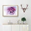 Floral Dreams in Abstract - Picture Frame Painting Print-55730855-55730858
