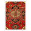 Oriental Area Rug in Red
