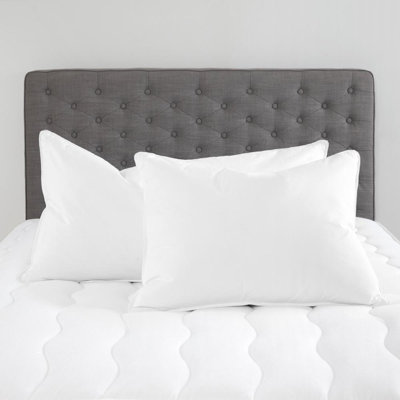 Bonner Down Blend Plush Pillow
