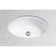 Dartmouth® Vitreous China Oval Undermount Bathroom Sink with Overflow