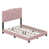Rose est en rupture de stock
