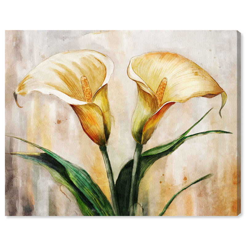Elysee " Monica Kapur - Calla in Golden Light " Acrylic Print, 30" H x 36" W, Toile tendue avec châssis