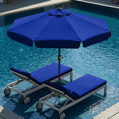 Holmquist parasol