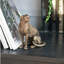 Statue de panthère en cuivre, décor animal