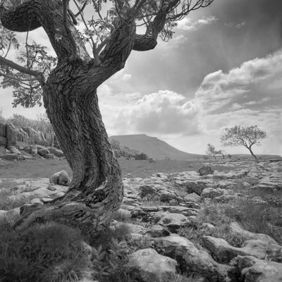 Outcrop II 1 Piece Wrapped Canvas Wall Art