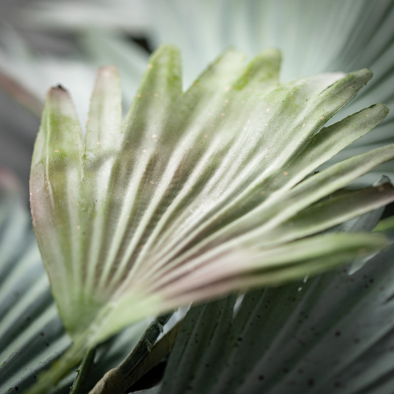 Lissa 48'' Faux Palm Branch