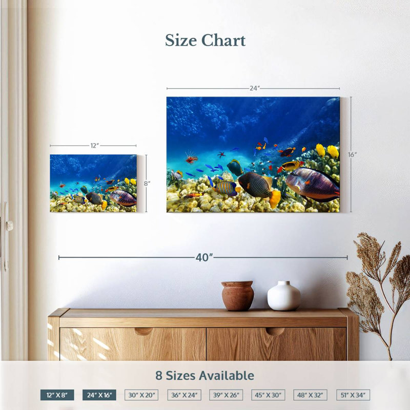 Brampt Marine Life, H 16 po x l 24 po