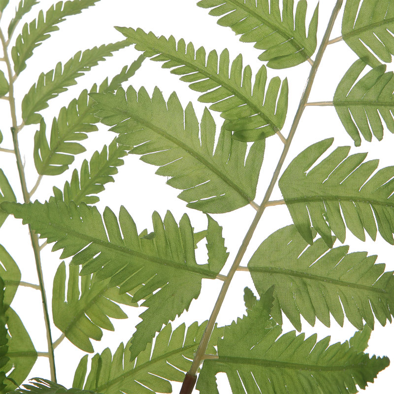  Country Ferns Set/2
