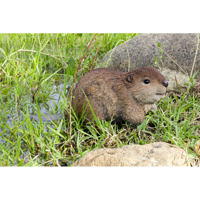 American Beaver Cub Statue