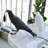 Kaye 1-Bulb LED Plug-in Bird Table Lamp Resin Novelty Lights for Room Desk Office Artistic Decor-484417509