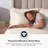 Delara GOTS Certified 100% Organic Cotton Sateen Fitted Sheet Set, 400TC Long Staple, Soft & Breathable with Deep Pocket-88065256-103975753