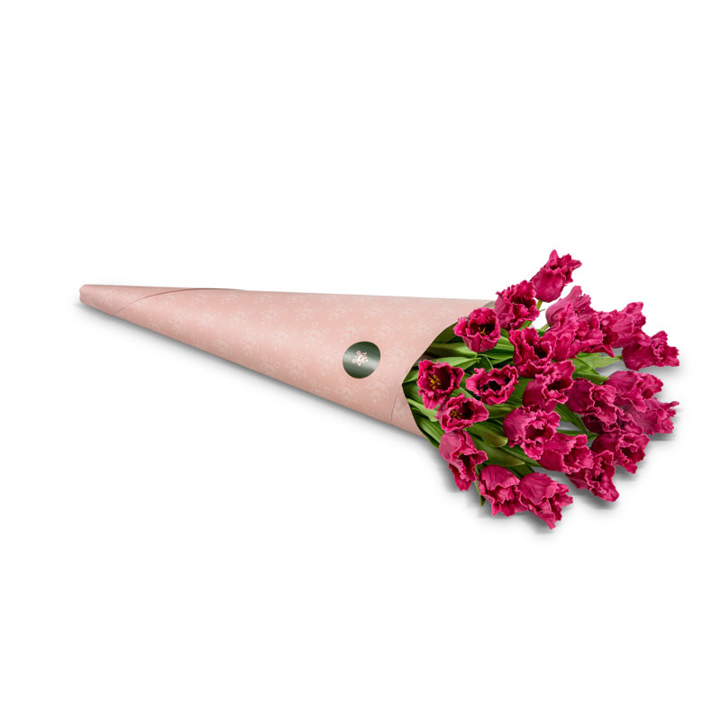 Lucia RealTouch Parrot Tulip Bundle, Fuschia