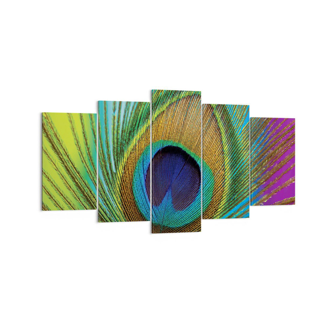 5-tlg. Leinwandbilder-Set Peacocks Feather Rainbow