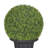 Single Ball Topiary Boxwood Artificial Tree-1166291949