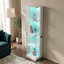Display Cabinet