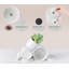 Ceramic Pot Planter-1467075557