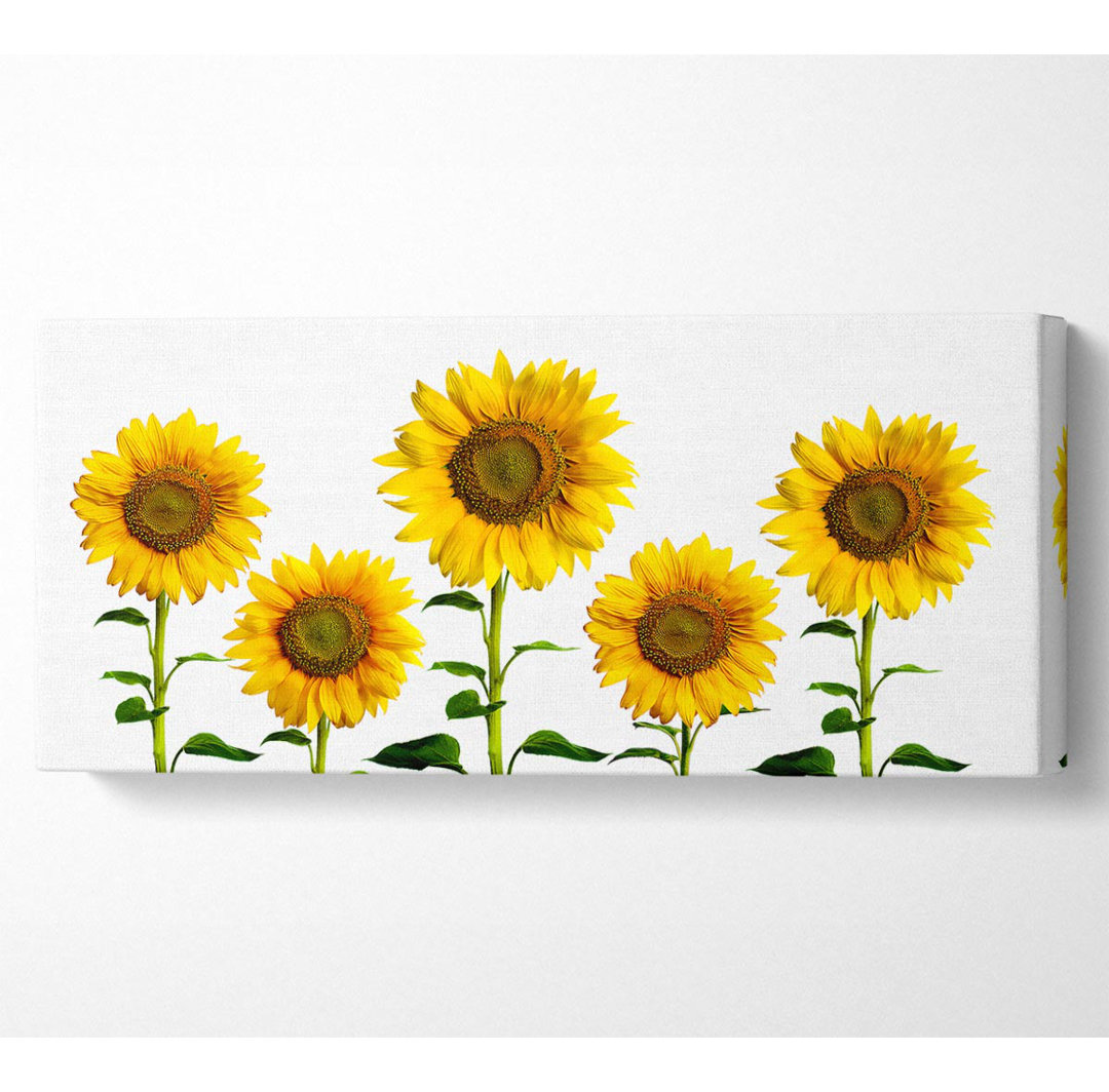 Sunflower Mayhem - Kunstdrucke auf Leinwand - Wrapped Canvas