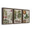 Exotic Botanique I - Ensemble de 3 peintures sur toile encadrées-595385040-595385045
