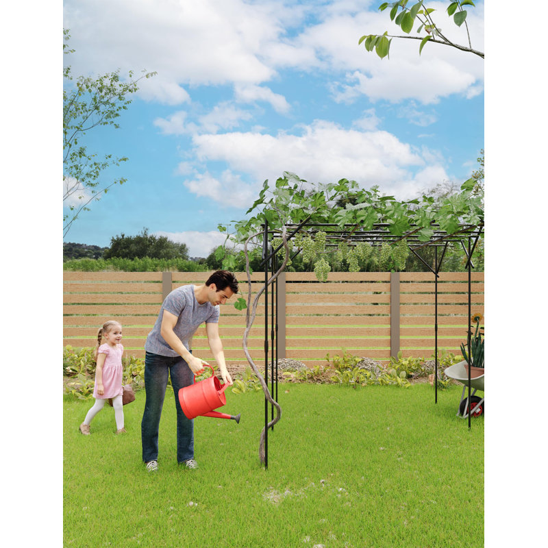 Treillis de jardin extérieur carré pour plantes grimpantes, 79 x 79 po, acier galvanisé durable pour raisin, concombre et roses