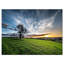 Green Grass Field in Sardinia - Reproduction de photo sur toile tendue-19241988