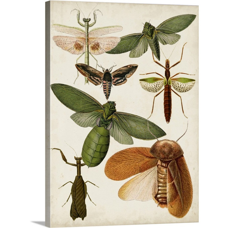 « flying bugs kids », art encadré, H 24 po x l 18 po x P 1,2 po, Toile tendue avec châssis