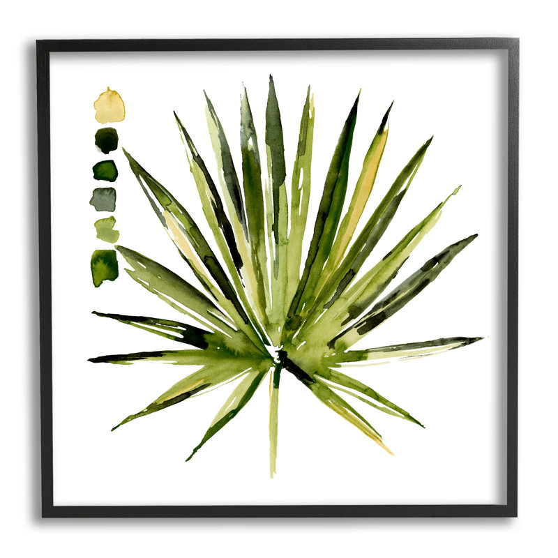 Plante grasse aloès, H 17 po x l 17 po x P 1,5 po, Giclée encadrée noir minuit