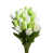 Blanc/vert est en rupture de stock