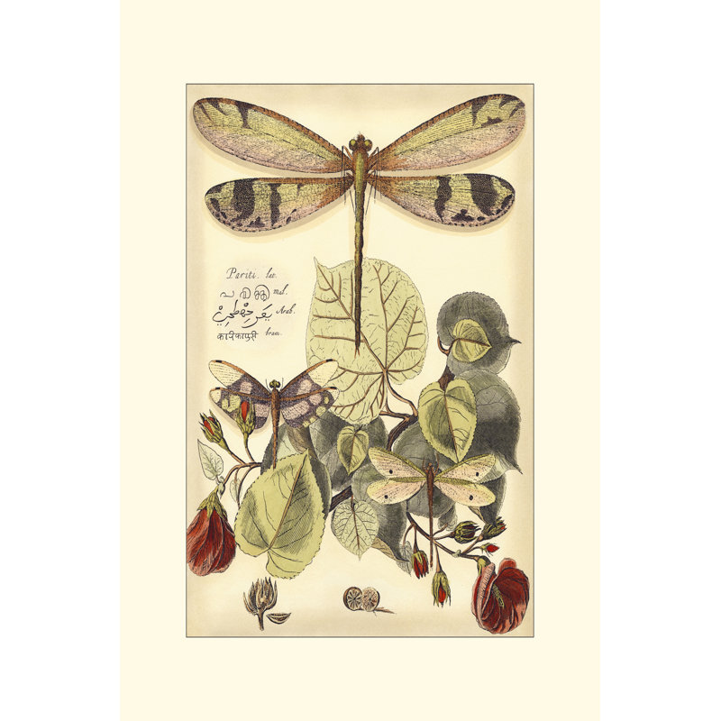 Whimsical Dragonflies II - Wrapped Canvas Painting, 30cm H x 20cm W x 3.8cm D
