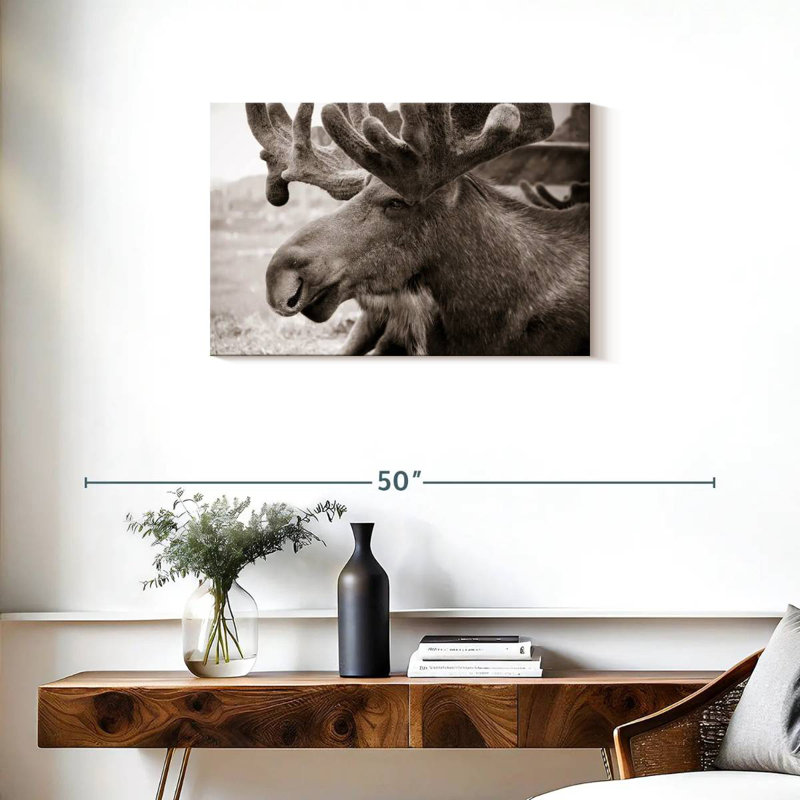 Brampt Moose Head, 20" H x 30" W