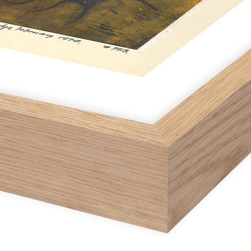 Experminet II Print by Pepi Sprohge, 40" H x 48" W x 2.5" D, Light Brown Single Picture Framed