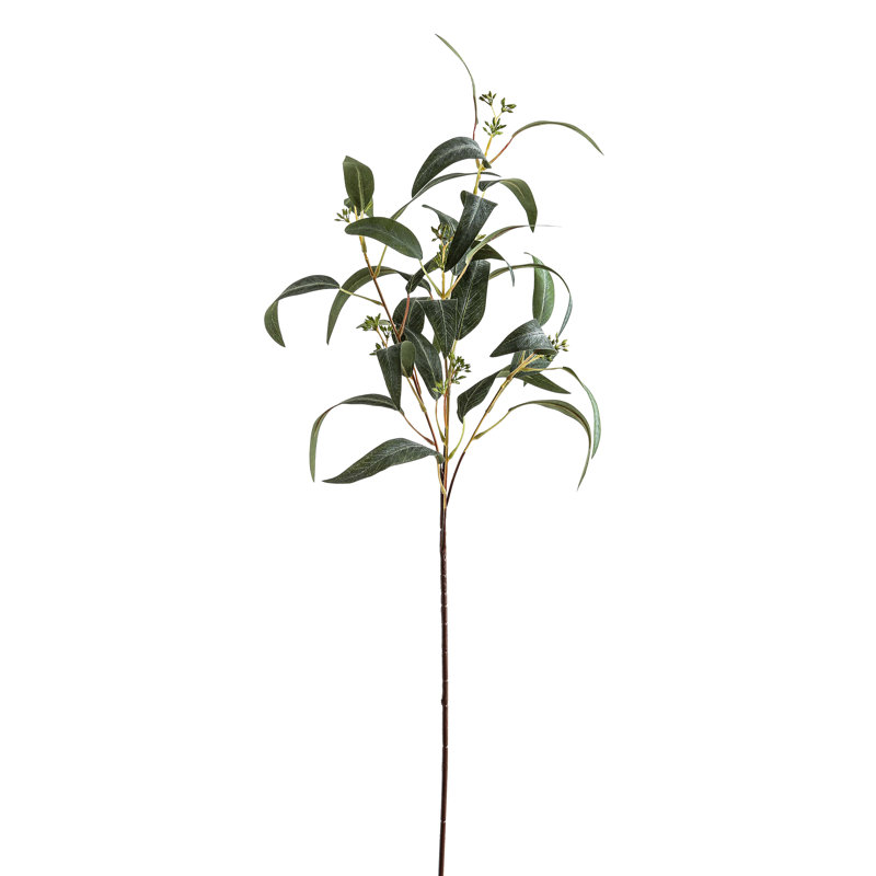 Anastasija Arrangement